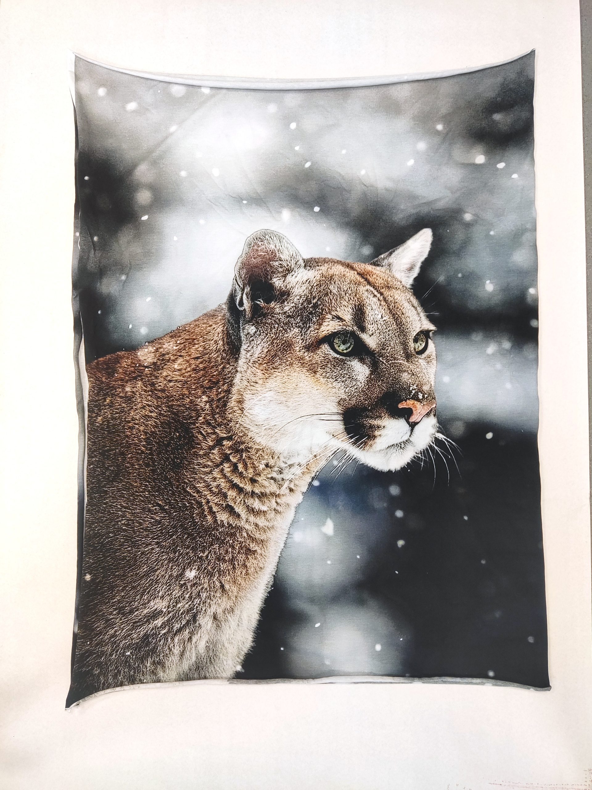 motyvas trikotazinis audinys puma